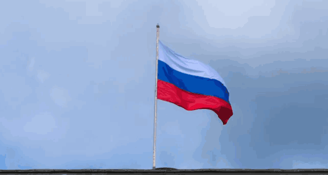 进出口, 进出口数据, 俄罗斯进出口数据